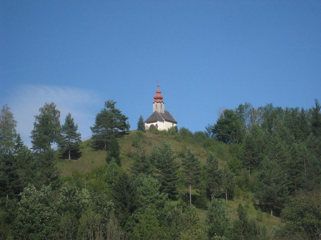 Gasthof Zum Niederhaus - Familie Perthold Sankt Aegyd am Neuwalde Екстериор снимка