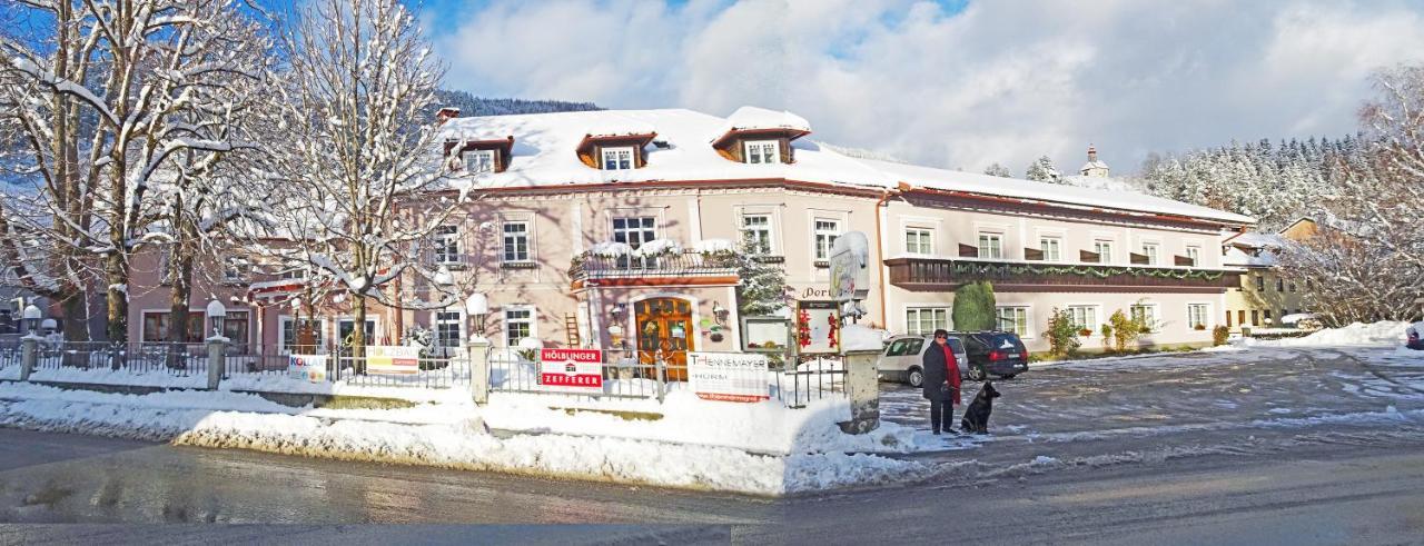 Gasthof Zum Niederhaus - Familie Perthold Sankt Aegyd am Neuwalde Екстериор снимка