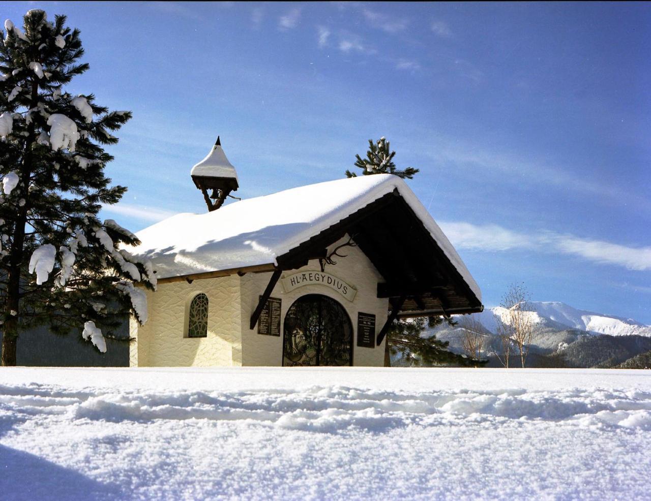 Gasthof Zum Niederhaus - Familie Perthold Sankt Aegyd am Neuwalde Екстериор снимка